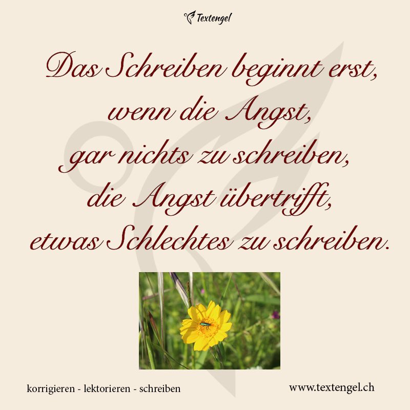 Textengel1's tweet image. 