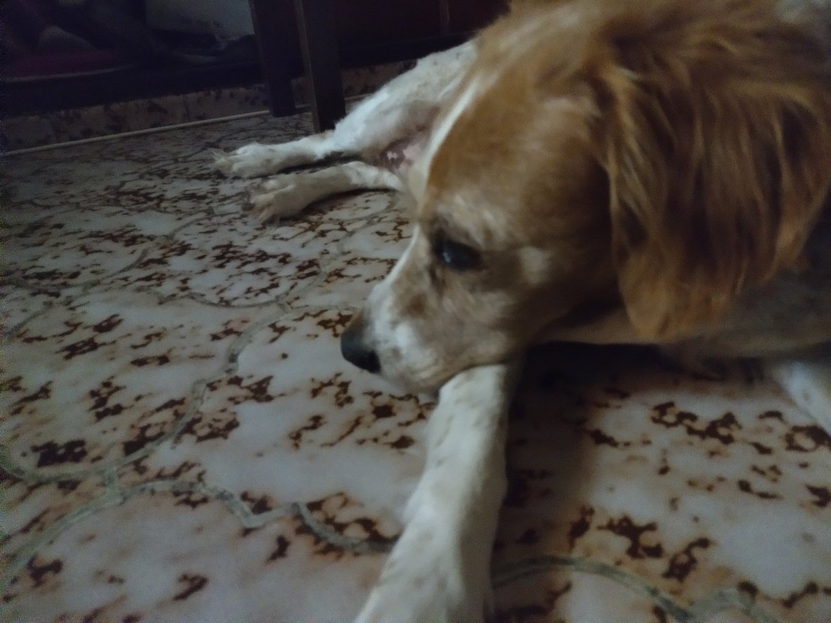 Florcarba's tweet photo. 4 AM y yo así, tratando que me deje dormir por los truenos 🥴 https://t.co/QskMziwsU7