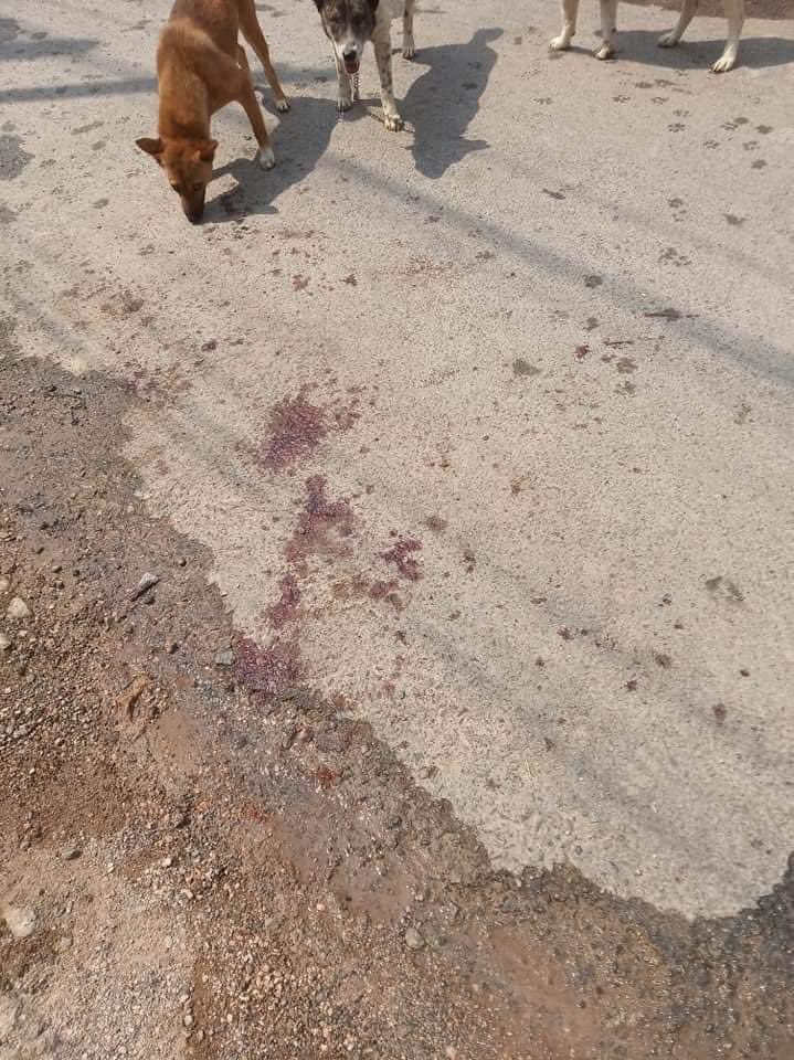 EmillieEmillie's tweet photo. What is happening in Kalaw, Shan State
#WhatsHappeningInMyanmar
#March25Coup https://t.co/Y8lJDiWNqU