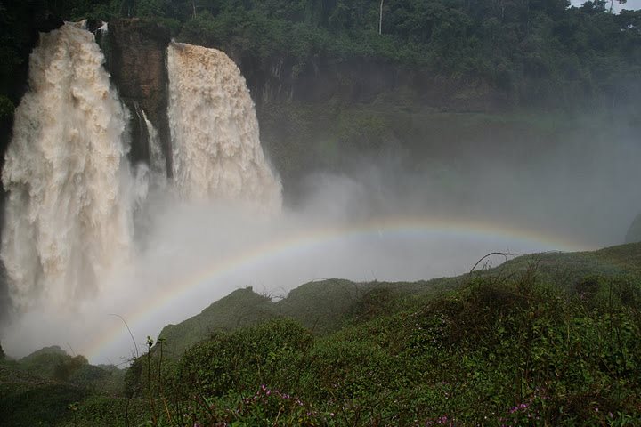 gampsonfranck's tweet photo. Découvrir le #Cameroun
Welcome to #Cameroon
Les chutes d'Ekom-Nkam
#237Daystrip #localguide #voyage #nature #tourism #naturelovers #waterfall #localpopulation #rainbow https://t.co/bT2qSQqVtC