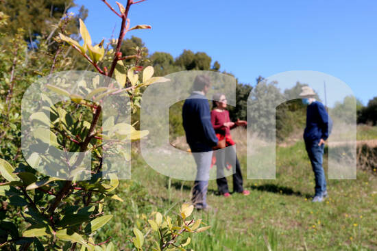 ACNpenedes's tweet photo. Veïns del #Penedès denuncien "problemes greus" per l'increment d'espoliadors de #llentiscle i insten el @govern a frenar-ho. L'@AjuntFontrubi impulsarà una ordenança per prohibir-ne la poda a l'engròs però avisa que serà insuficient https://t.co/7psmHyEZsQ cc: @DLlentiscle https://t.co/GkOjYRvYZk
