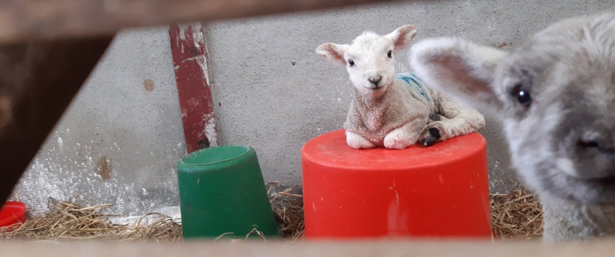 "Hang on John, I'll just set the timer".......