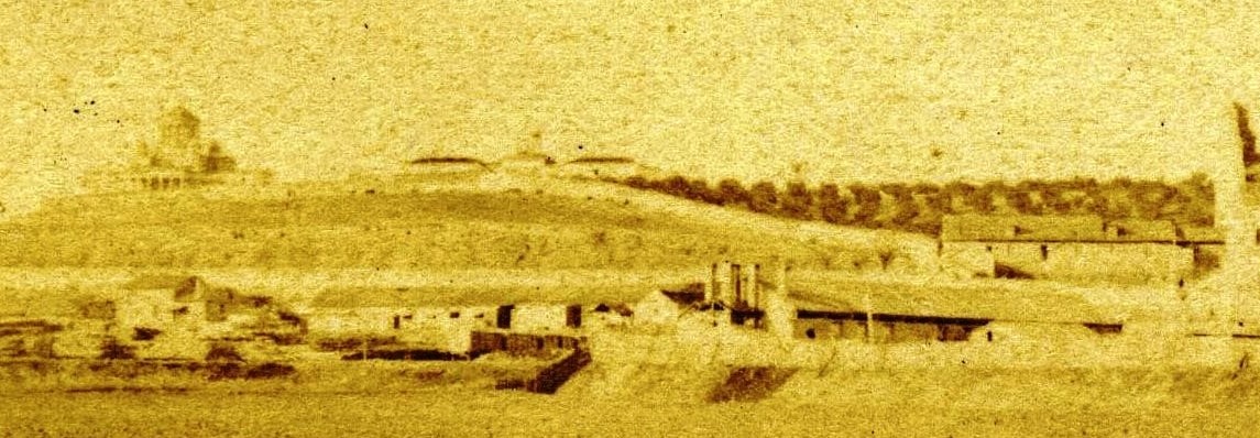 Pennypol's tweet photo. Olivar de Atocha. J. Laurent. Hacia 1857. Detalle de 
 estereoscópica. Col. @JavierRomeu7 https://t.co/U39kmpPA3r