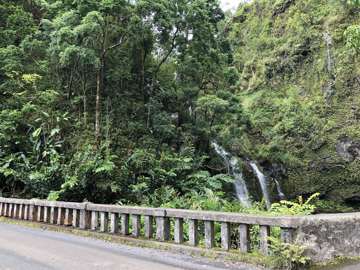 Revealed Travel Guides tweet media