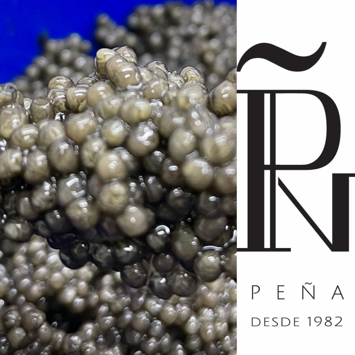 antoniopebarrio's tweet photo. Si te gusta el #caviar debes preguntar por nuestra gama de caviar. Tenemos desde caviar español hasta iraní. #exclusividad #premium #gourmet @mercadodechamartin @pdelicatessen https://t.co/oeIcCnfD0z https://t.co/uqBsB48oU0