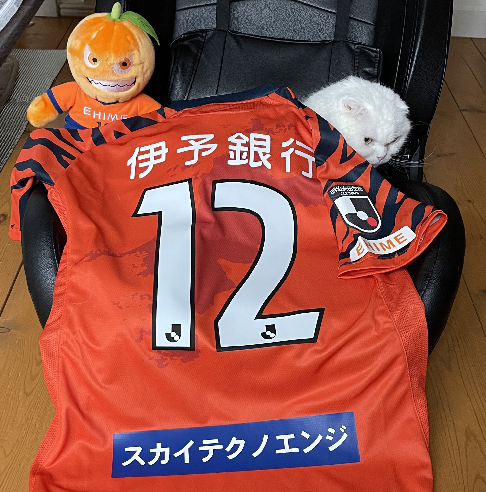 能田 達規 Jリーグ統一フォントの供給不足で遅れていたらしい愛媛fcのユニフォームが無事到着 シャツはフルスポンサーで大感謝 新たに解禁されたパンツ後ろ ショーツ後面 はまだ空いている っぽいので是非 愛媛fc 大王製紙 伊予銀行 三浦工業