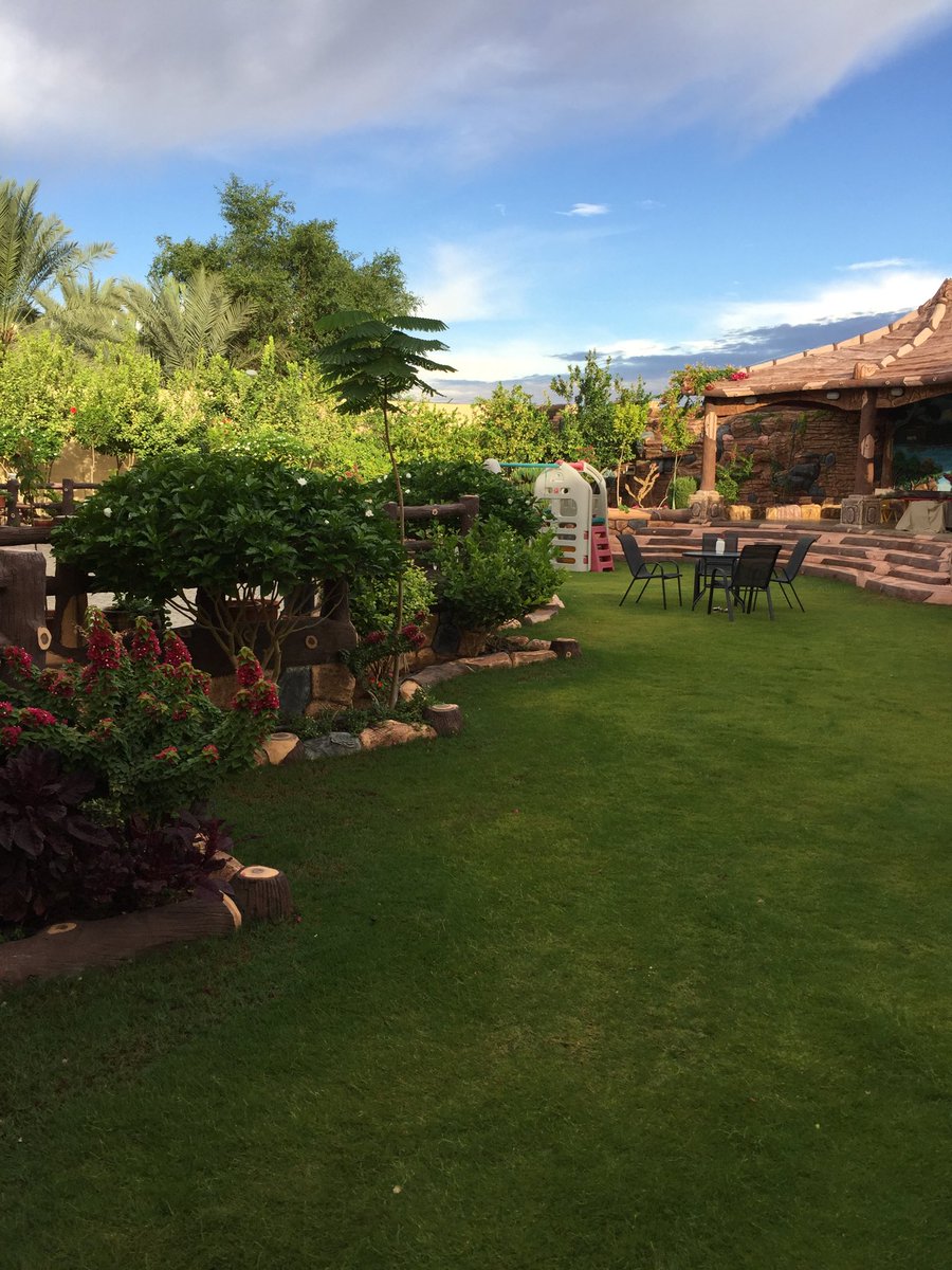 Court{فناء_داخلي}Yard tweet media