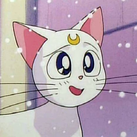 だもんダイヤ ふと思ったけど ソルルとルルナってセーラームーンのルナとアルテミスに似てる気がする 猫が一緒って理由もそうだけど 2人目に仲間になる亜美ちゃんが2話に登場する花屋の店員さんが久川綾さんを採用したって理由があったらマジでエモい