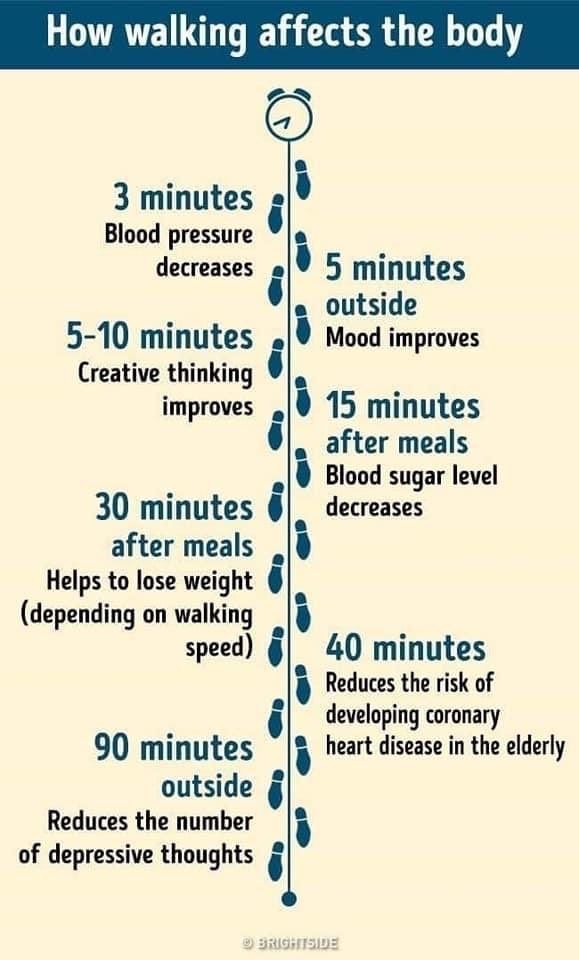 The amazing benefits of walking 🚶‍♀️
#BeActive
#DailyWalks