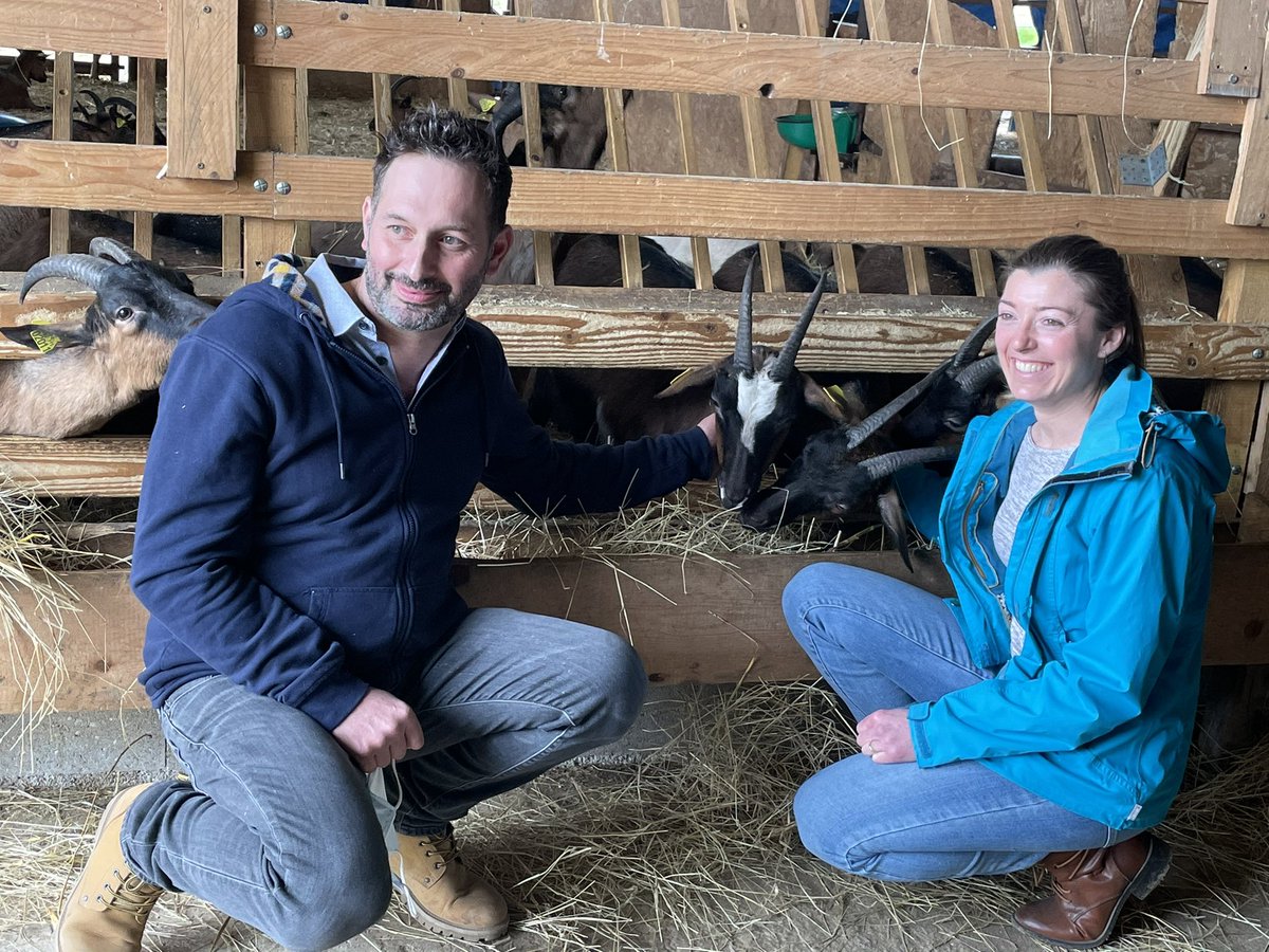 CARCThierry's tweet photo. Ce matin la #chevrerie de la Dhuys est devenue le 100e adhérent de https://t.co/t3zmDFyYlp 🎉 l’occasion de signer le contrat dans l’étable des #chèvres 🐐avec le president Haÿ, Mme Gabriel élue à l’#agriculture et @GVaude élue au #numérique #ClickandCollect #soutien #commerces https://t.co/cHy9GiWzg8