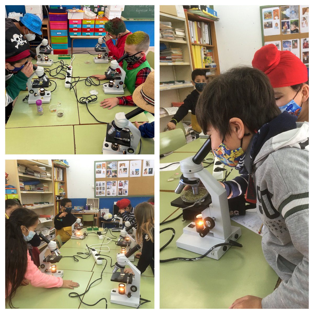 EscolaSaavedra's tweet photo. Ens seguim fent preguntes al 💡#projectellum. A través del mètode científic hem investigat sobre la llum amb circuits elèctrics i microscopis 🔬. #ferpensarcomunicar #ciclemitjà @aliancesmagnet #creixalsaavedra https://t.co/WsdTyq2xQO