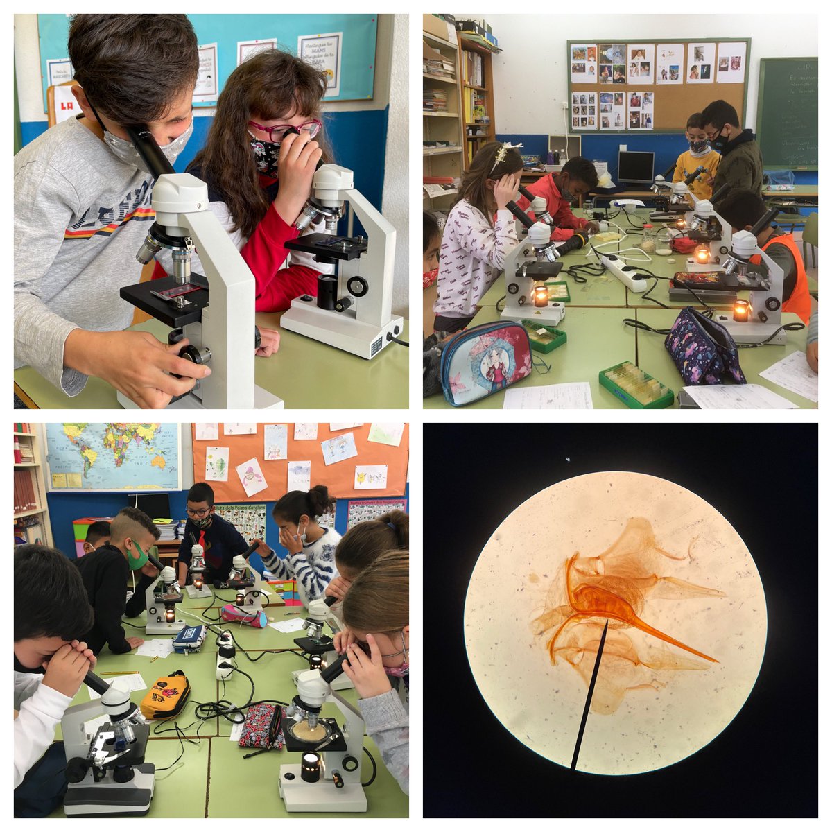 EscolaSaavedra's tweet photo. Ens seguim fent preguntes al 💡#projectellum. A través del mètode científic hem investigat sobre la llum amb circuits elèctrics i microscopis 🔬. #ferpensarcomunicar #ciclemitjà @aliancesmagnet #creixalsaavedra https://t.co/WsdTyq2xQO