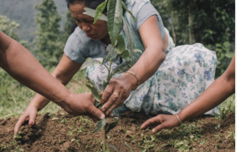 DeliverEvents's tweet photo. Want to help us plant a new forest? DELIVER is a trusted partner of PUR Projet. Together, we have planted over 1000 trees last year.
Join us and make a difference: https://t.co/RDXnXEfhQJ
#retail #logistics #sustainability #network #climatechange #deliver2021 #deliverevents https://t.co/oL143ZceFO