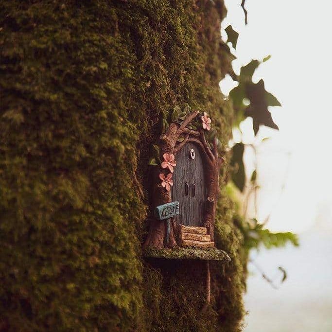 discoverlderg's tweet image. On #NationalTreeWeek2021 we quote #SirDavidAttenborough
&quot;Ancient trees are precious. There is little else on Earth that plays host to such a rich community of life within a single living organism.&quot;
What&apos;s your favourite tree around Lough Derg? We have many. Let&apos;s fill Twitter!