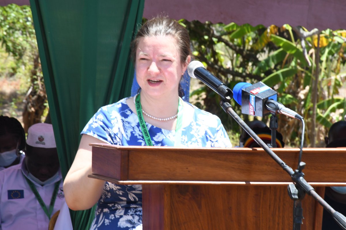 The project will be implemented by KALRO and the KES 650M grant will support KALRO’s research and dissemination of climate-smart agricultural technologies. 500,000 farmers, pastoralists &amp;fisher-folk will benefit