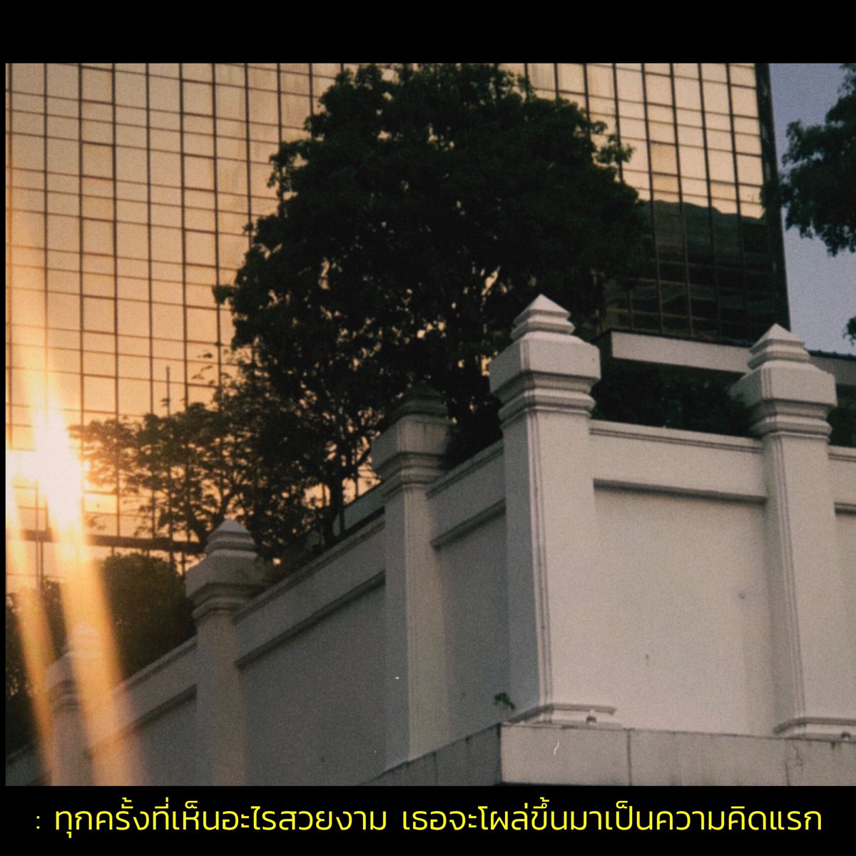 기 tweet media