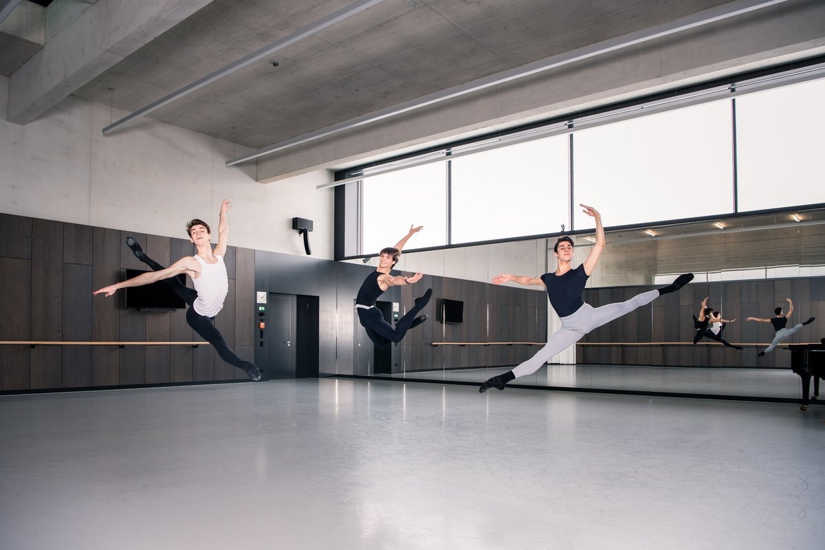 Ferry-Porsche-Stiftung fördert Eleven-Programm des Stuttgarter Balletts🩰 mit 100.000 Euro. 
➡️ferry-porsche-stiftung.de 

#ferryporschestiftung #Kultur #Ballett