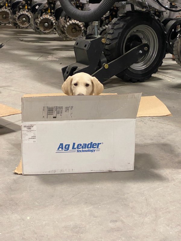 TalbertPreston's tweet photo. Good help is hard to find, especially when they only want to sleep on the job! The new @AgLeaderTechh #SteerCommandZ2 installed and ready for #hay2021. https://t.co/jm9N0dUdDi
