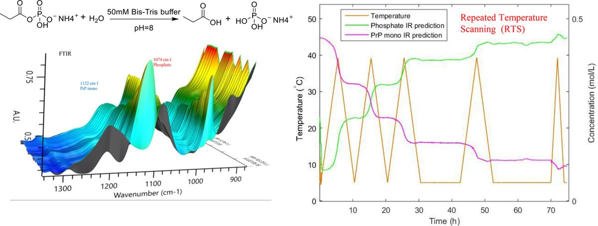 mettlertoledo's tweet photo. #MTCiting in #OPRD:…utilizing data-rich experimentation to characterize propionyl phosphate hydrolysis reaction kinetics...allowed the establishment of quantitative FTIR multivariant model…used for kinetic analysis,two key reaction parameters..https://t.co/VbBo90FhN6 https://t.co/lKXzbBhLuo