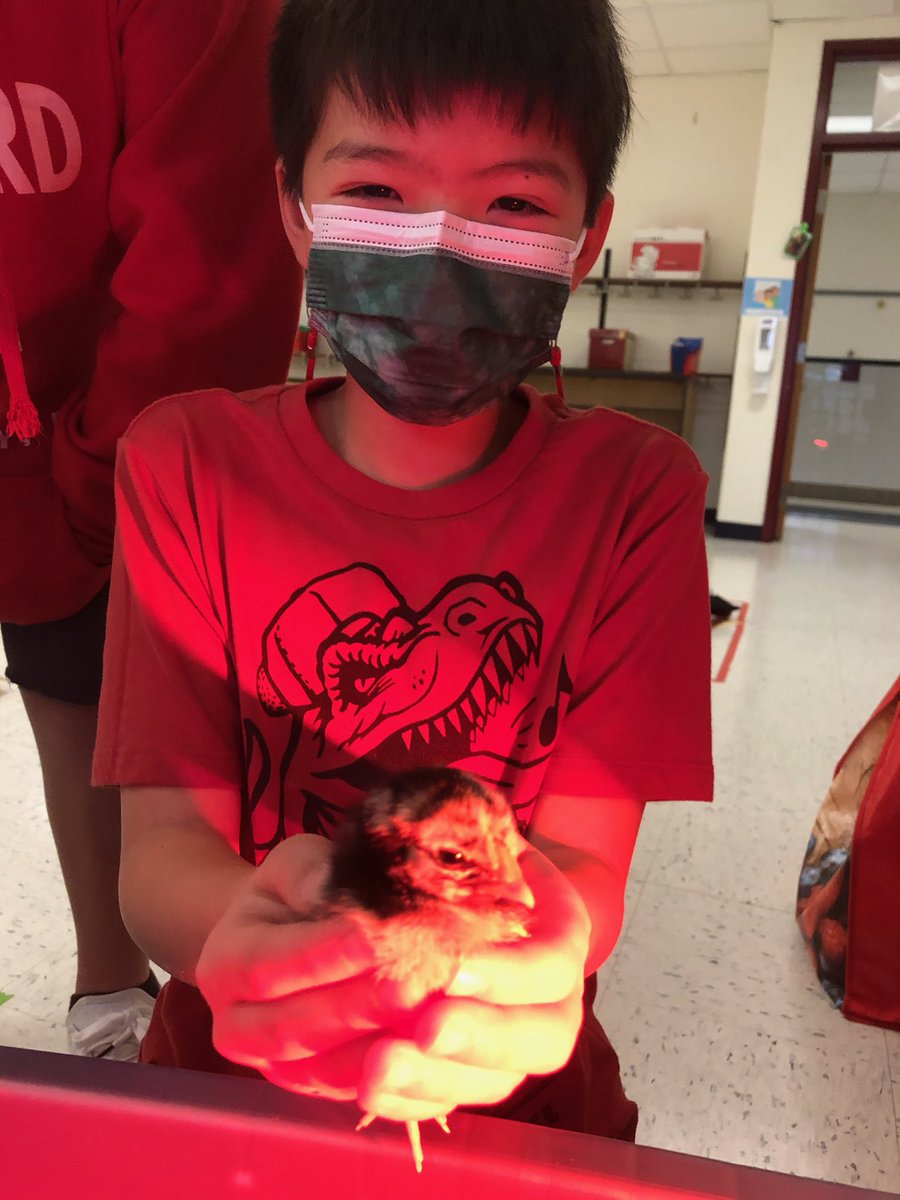 BST Fifth Grade Team tweet media