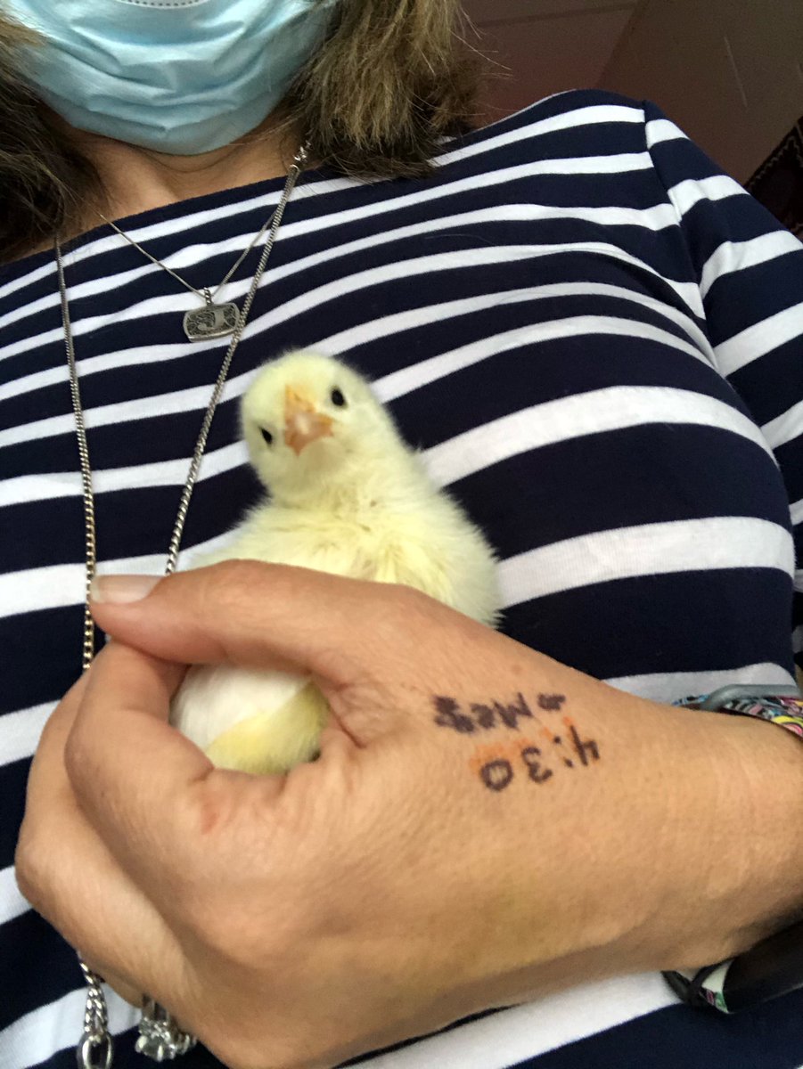 BST Fifth Grade Team tweet media