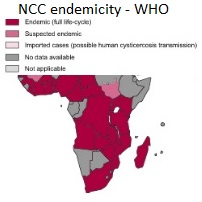 InAfrica's tweet photo. In Sub-Saharan Africa (SSA), neurocysticercosis (NCC) is a  cause of epilepsy. Endemicity of NCC and gap of epilepsy care in SSA countries suggest exploring synergies between their respective interventions to increase long term impact and sustainability: https://t.co/ceOYdG4aCa https://t.co/n2XyVQfco3