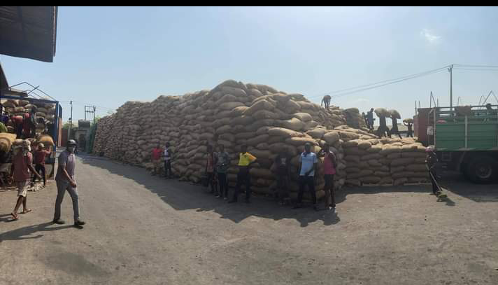 OvieNews's tweet photo. Lagos businessman, Adeniji M.A, bucks the trend and moves his 7,000 metric ton truckloads of cocoa beans from the Southwest, to the newly rejuvenated Calabar Seaport for export. This will make his cargo of farm produce sidestep Lagos port queue, and get to Europe in time. https://t.co/1l2H3iIw1J