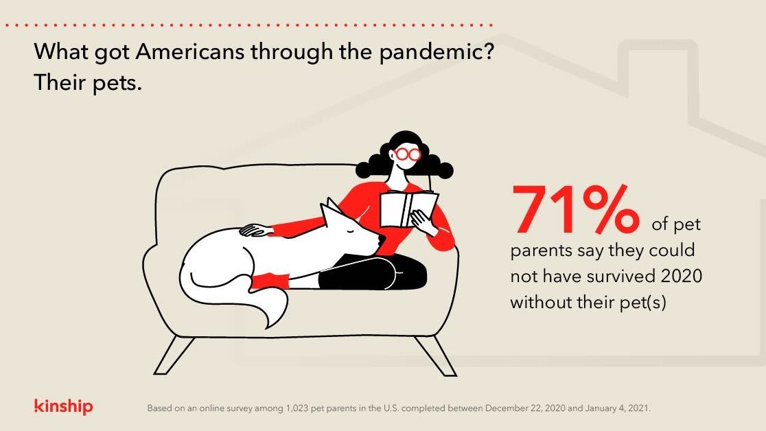 Guides4DMind's tweet photo. 71% of owners say they couldn't have got through 2020 without their pets, according to a US survey by @kinshipco. As lockdowns drag on worldwide, how are your pets helping you? Feel free to let us know!

Read the full article here: https://t.co/FPWzlNbVOn https://t.co/SZh8ELVgh5