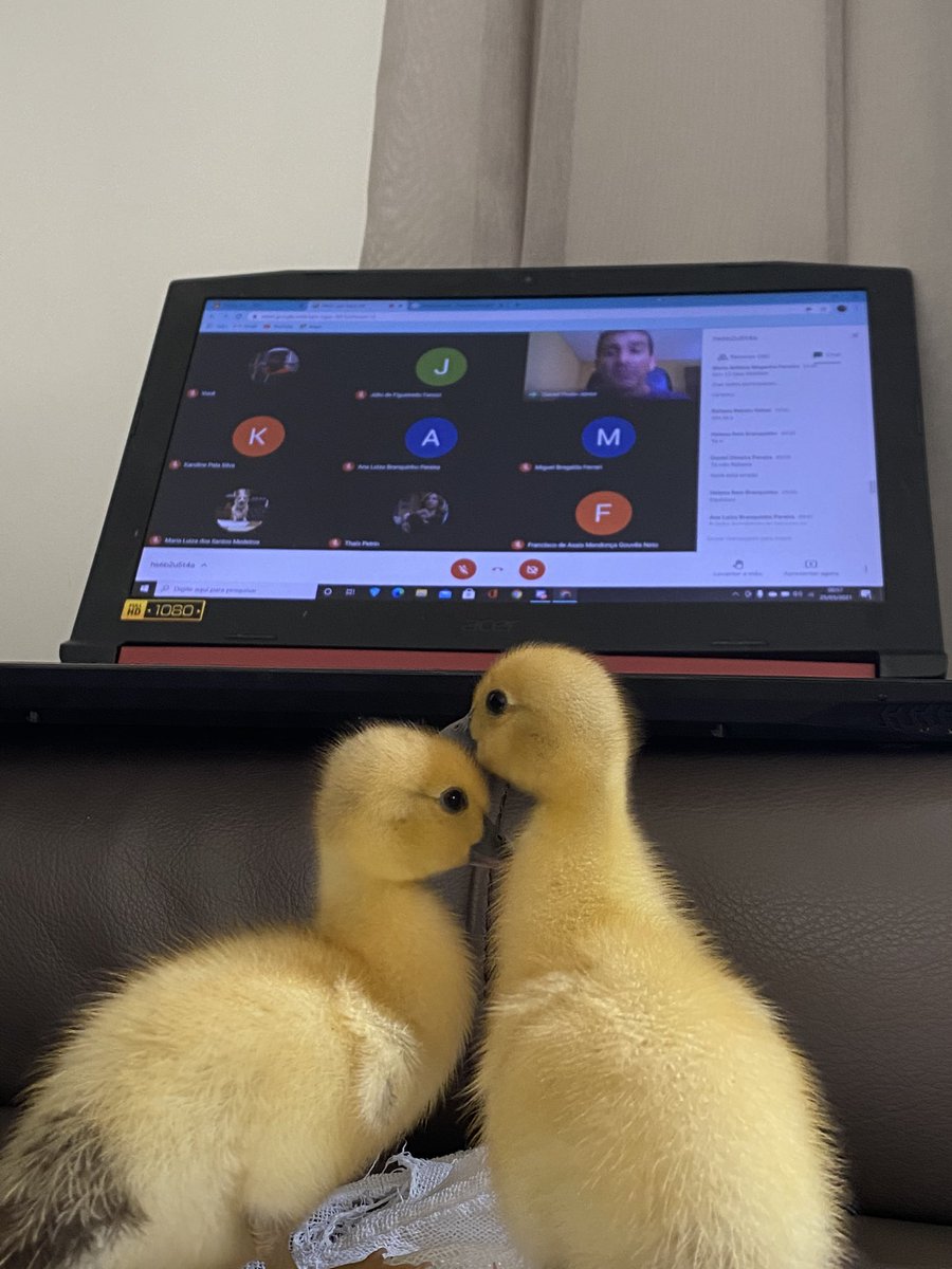 sofiaespanha's tweet photo. aula de hoje é de patologia https://t.co/zkn4g1wReO