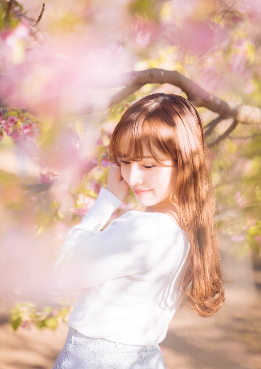 yosuk_ex's tweet photo. *
　*
木漏れ日
　　　*
　　　　*
 𝐴 𝑜 𝑖. ☪︎ ｡* @Aoiptgp https://t.co/oZGbVlI4bm