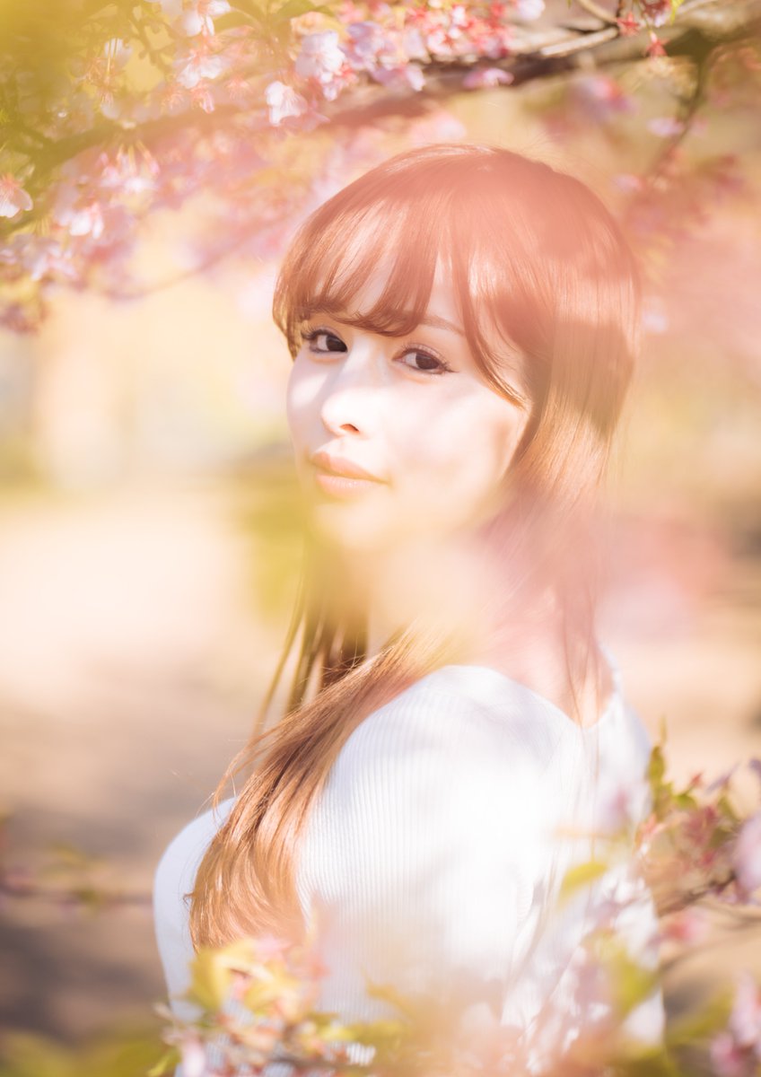 yosuk_ex's tweet photo. *
　*
木漏れ日
　　　*
　　　　*
 𝐴 𝑜 𝑖. ☪︎ ｡* @Aoiptgp https://t.co/oZGbVlI4bm