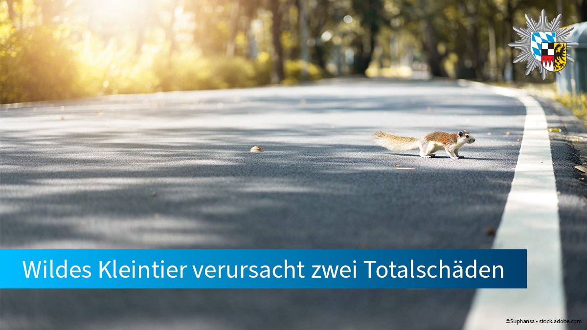 PolizeiMFR's tweet photo. Am gestrigen Mittwoch kam es bei #Scheinfeld zu einem Unfall mit Beteiligung eines #Eichhörnchens. Es lief plötzlich auf die Straße. Eine Pkw-Fahrerin wollte dem Tier ausweichen und verlor die Kontrolle über ihr Fahrzeug.
Zur Meldung:
https://t.co/MvHGDAkR35 https://t.co/hdLQm5tDXh
