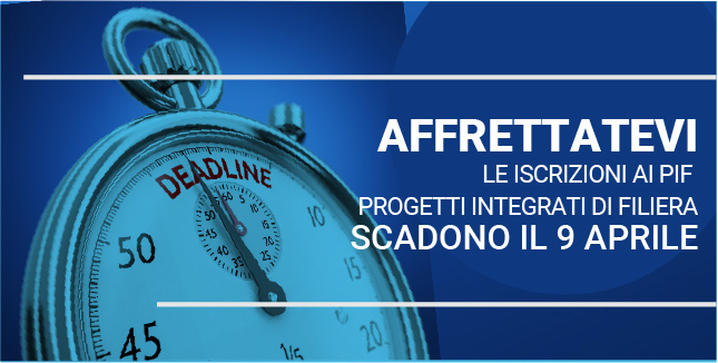 Ceipiemonte s.c.p.a. tweet media