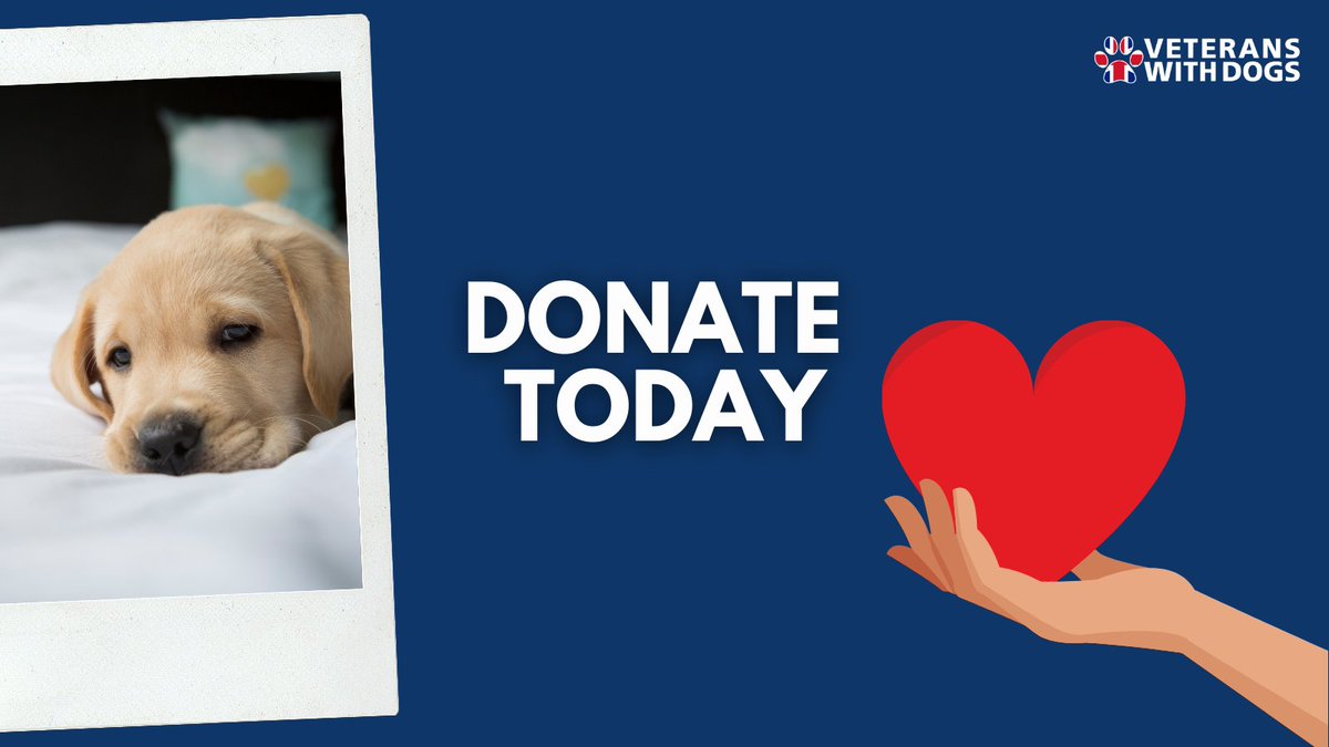 Veterans With Dogs tweet media