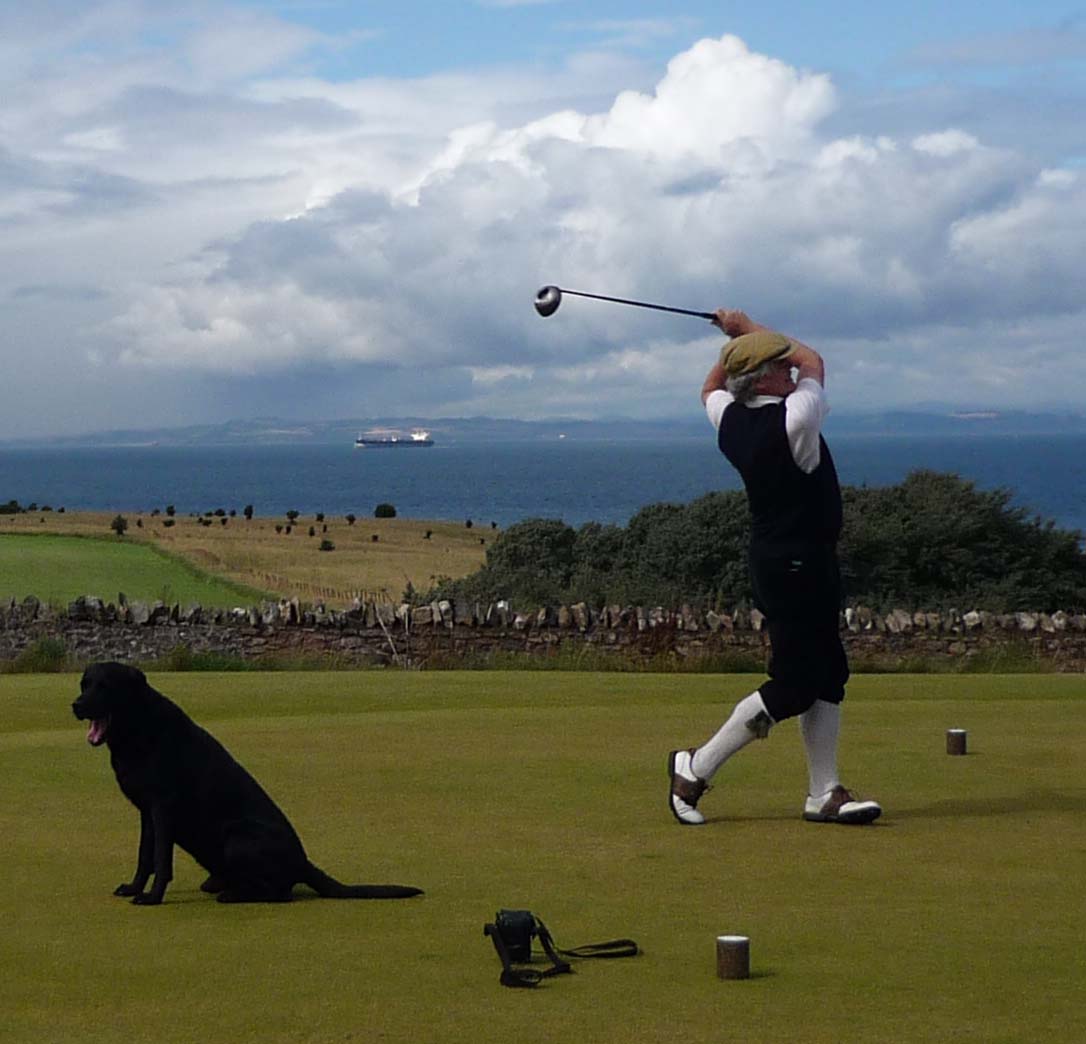 FineGolfing's tweet photo. Dexter inducted into DogGolf Hall of Fame. https://t.co/iQe5CLpOWq https://t.co/PK2TV9V4XX