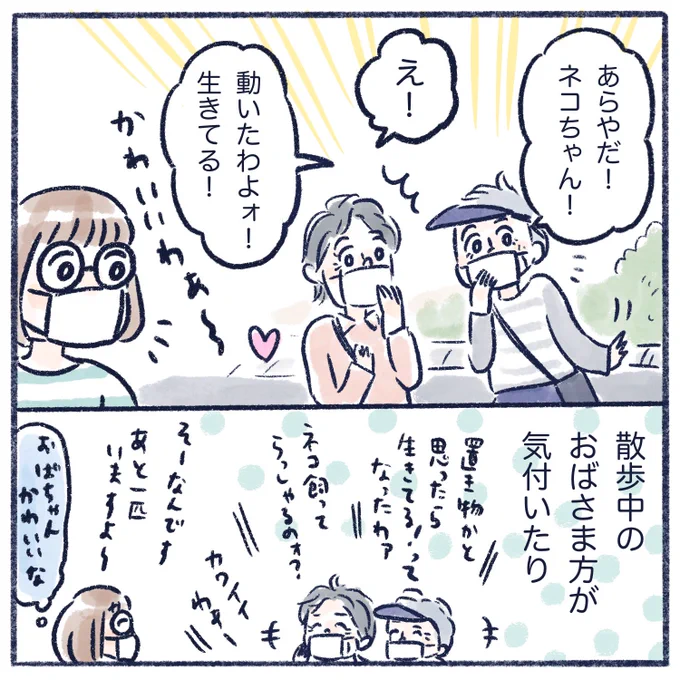 今日も猫たちは見ている(2/2)最近見てないから、探そ#コミックエッセイ #エッセイ漫画#保護猫 #くもやの猫まんが 