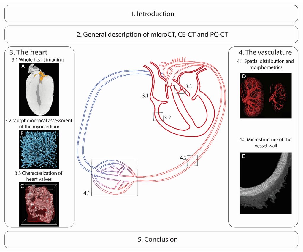 Greet Kerckhofs Greetkerckhofs Twitter