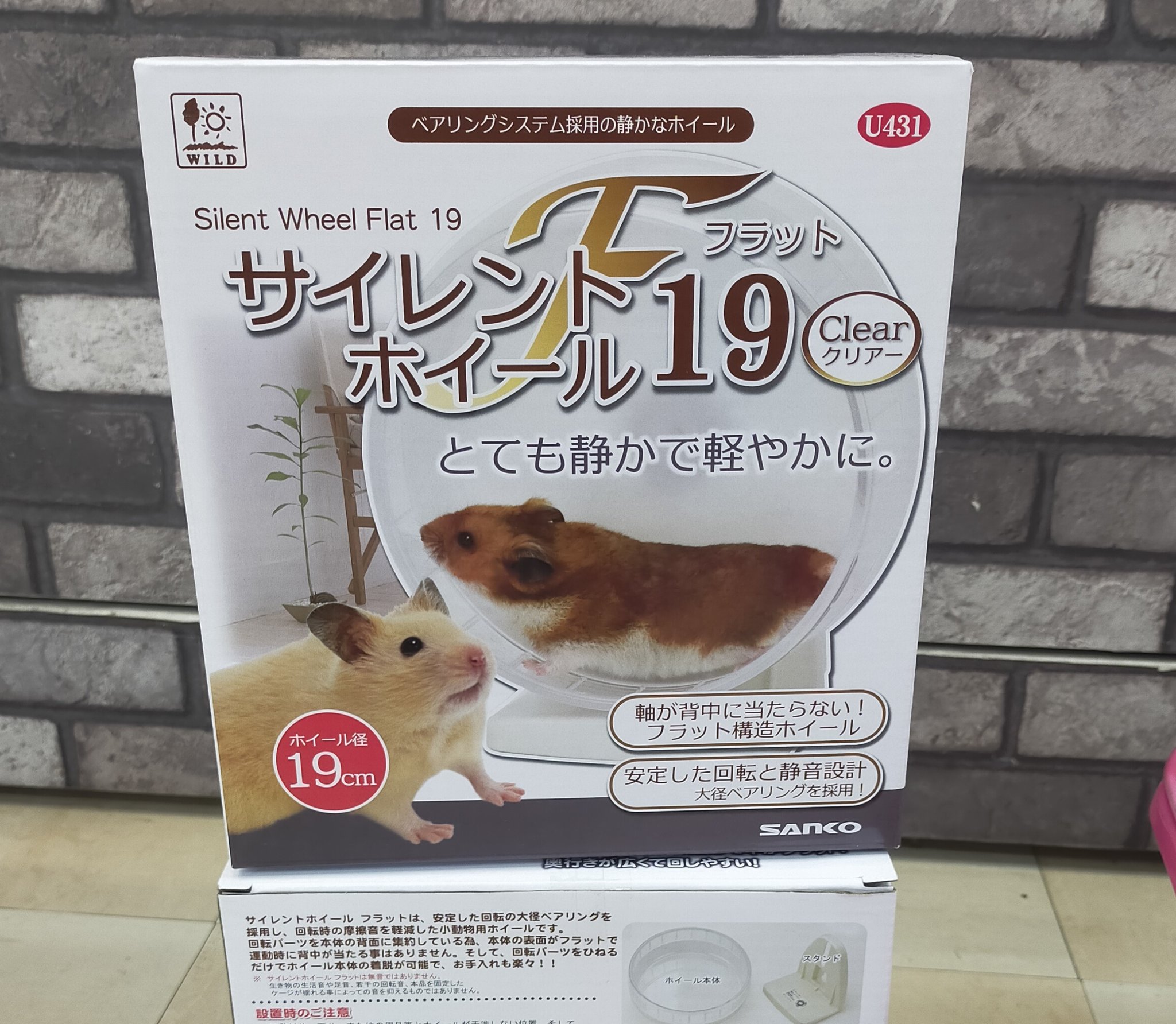 最大86%オフ! 三晃商会 サイレントホイール フラット21 ゴールデンハムスター 関東当日便 www.a-blanca.co.jp 最大86%オフ! 三晃商会 サイレントホイール フラット21 ゴールデンハムスター 関東当日便 www.a-blanca.co.jp