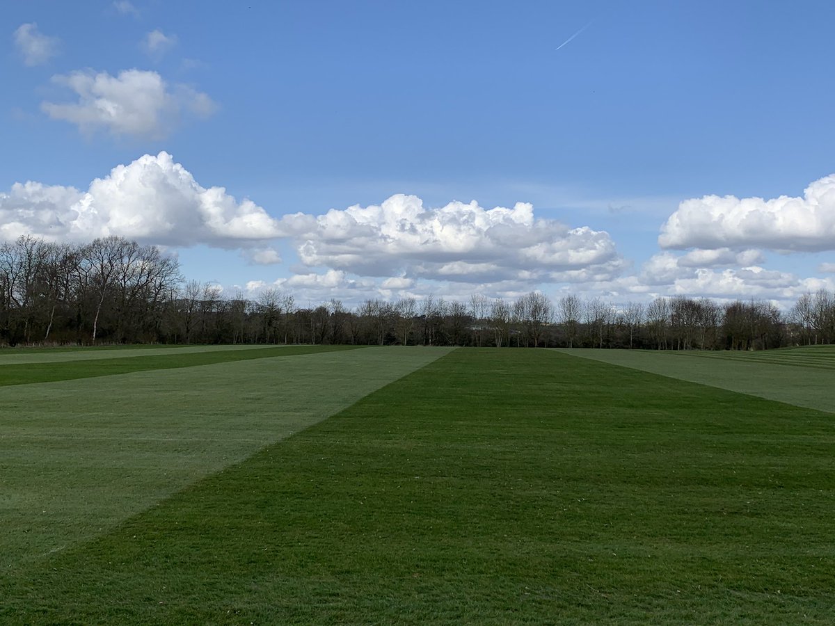 Dixie Groundstaff. tweet media