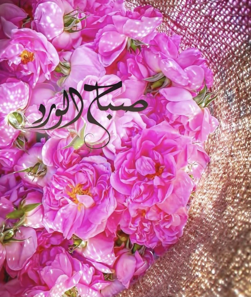 نوال عبدالله (@njkw5) on Twitter photo 