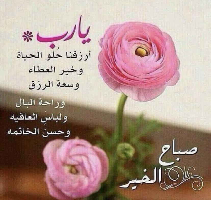 نوال عبدالله (@njkw5) on Twitter photo 