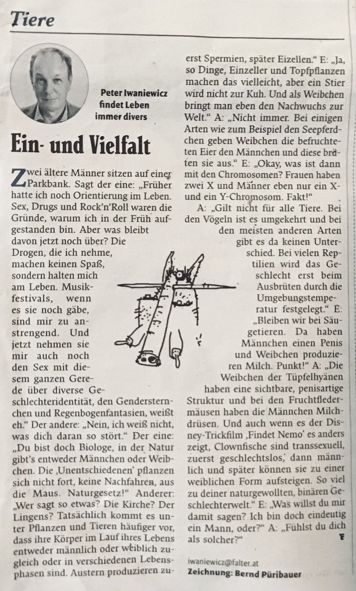 dieter chmelar tweet media