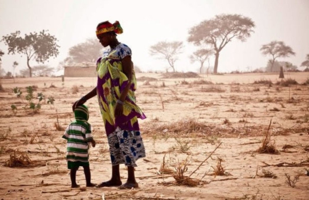 CoumbaDSow's tweet photo. Les populations les plus vulnérables à une augmentation de l'insécurité alimentaire aiguë au #Sahel, ou qui en subissent déjà les effets dévastateurs, sont les habitants du nord du #Nigéria ceci à cause de conflits prolongés.
#HungerHotSpot @FAOemergencies @WFP_FR https://t.co/TkIdu0R1IS