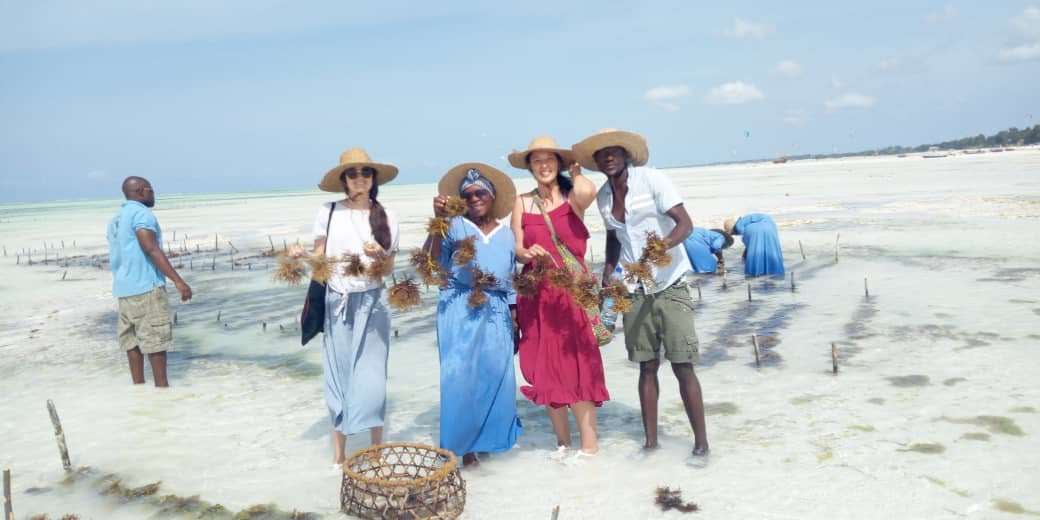 becca_js's tweet photo. @GDJCLEY New paper about sustainability challenges relating to seaweed farming in Zanzibar https://t.co/CwXZWTBsH8 https://t.co/wyau9VPifA