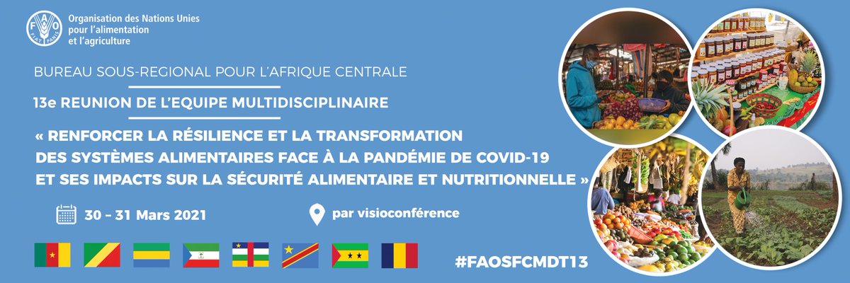 🗓️#SaveTheDate - Du 30 au 31 mars, rejoignez-nous pour la 13e Réunion de l'Equipe Multidisciplinaire du Bureau Sous-régional <a href="/FAOAfriqueCent/">FAO Afrique centrale</a>. 

#FAOSFCMDT13 va réunir les gouvernements des 8 pays de la sous-région et les organisations sous-régionales.

📌bit.ly/3cWe9Kf
