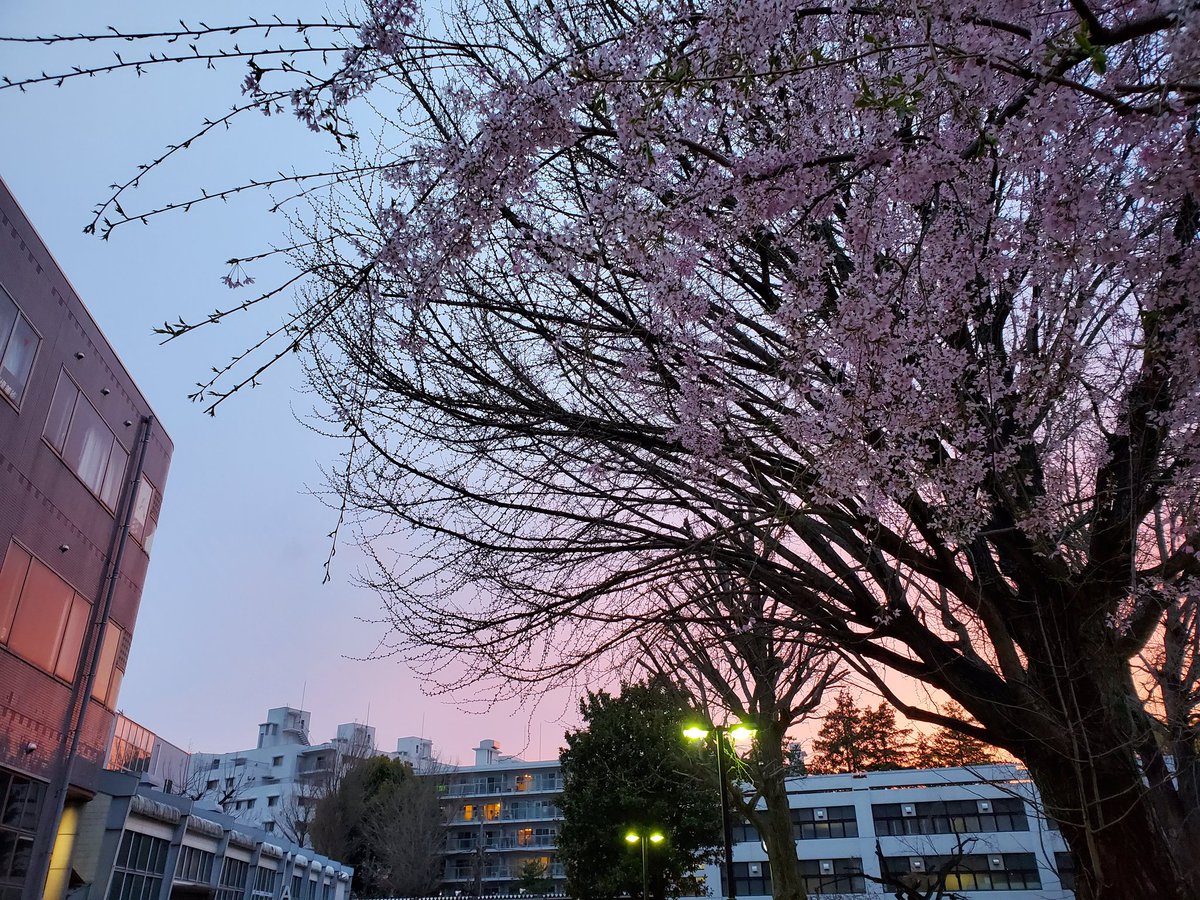 tamabi_kikaku's tweet photo. 上野毛の今日の空です。明日は晴れでしょうか。 https://t.co/ZskhfXQjAx