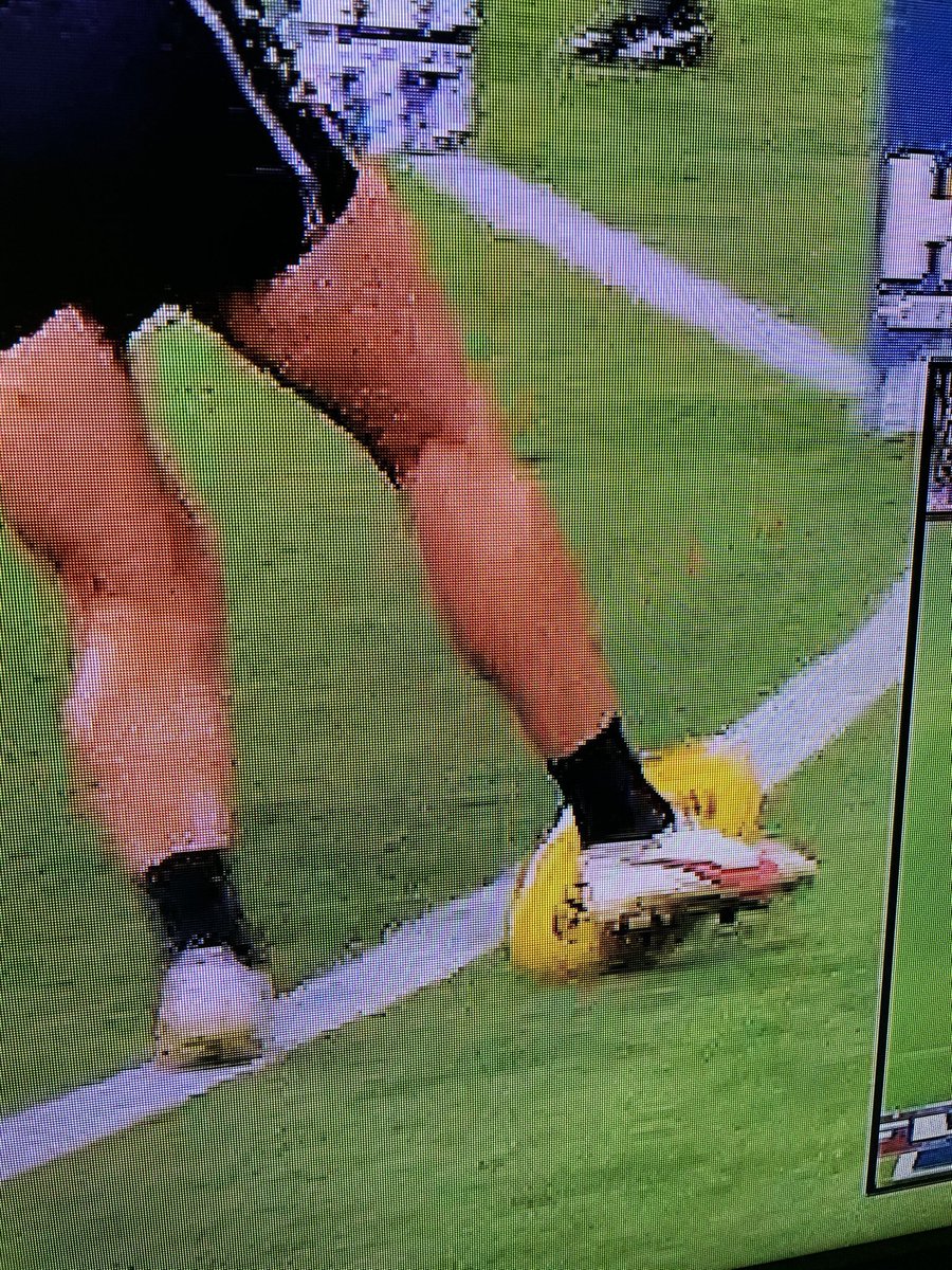 PiesNation (@piesnation) on Twitter photo 