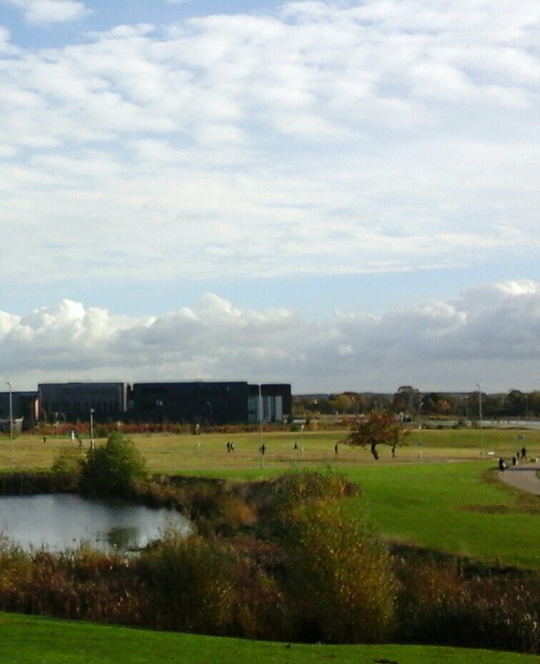 greenbeltsal's tweet photo. @stellastafford the news about the #StudentLet #StudentFlats #bubblebursting is too late for this little #OakTree 
#AnneListerCollege #Greenbelt #destruction 😢😢😢 https://t.co/SjKnZ9PL4H