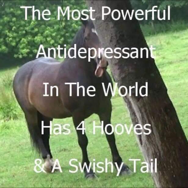 It’s so true