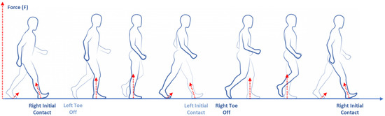 Sensors_MDPI's tweet photo. #GaitAnalysis in #Parkinson’s Disease: An Overview of the Most Accurate Markers for #Diagnosis and #SymptomsMonitoring
@CampusBioMedico @LazzarodiBiase @alessandrods89 @MLCam_ @lorenzoHL @EdinburghUni 
👉https://t.co/6Wue6WFVNi

#wearable 
#homemonitoring
#machinelearning https://t.co/Q5SnSRdrFm